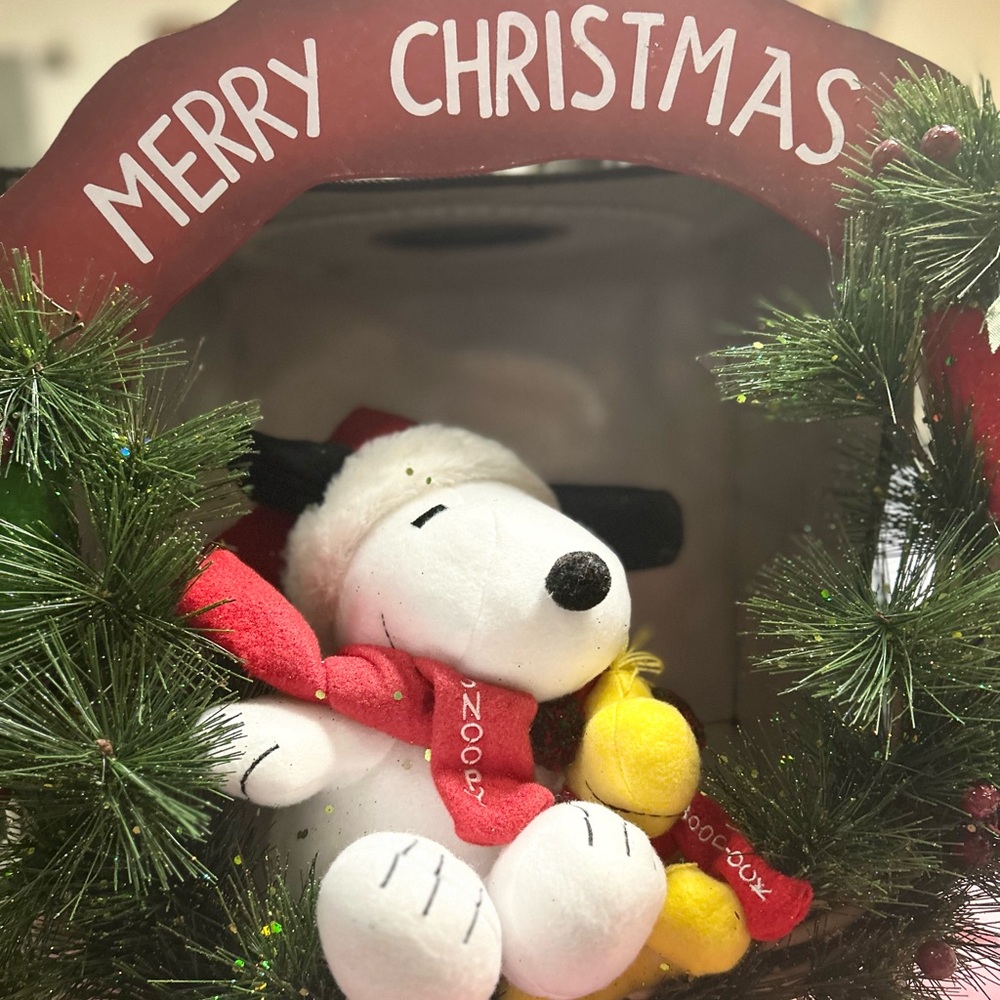 Peanuts Merry Christmas Door  Snoopy Woodstock w Logo Scarfs